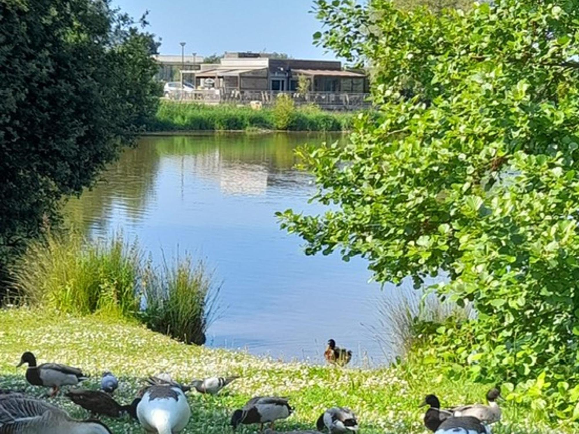 Appartement Refait A Neuf Avec Loggia Et Parking, A 2 Pas De La Plage Et Des Commerces - Fr-1-712-7 Villers-sur-Mer Eksteriør billede